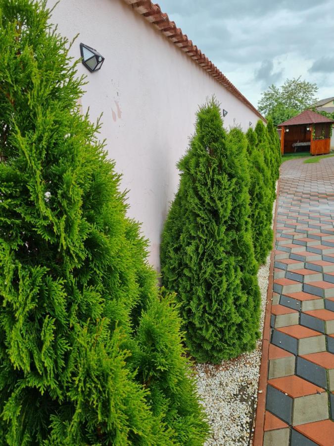 Vila Nicholas Barcanesti Exterior photo